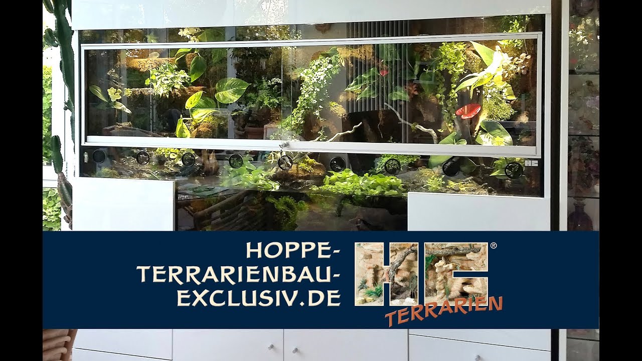 Paludarium für Unken, Wechselkröten, Laubfrösche und Molche