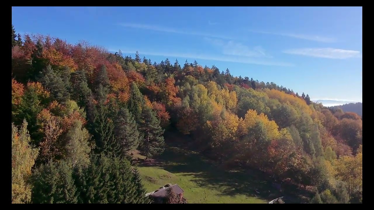Pierwszy film DJI Neo