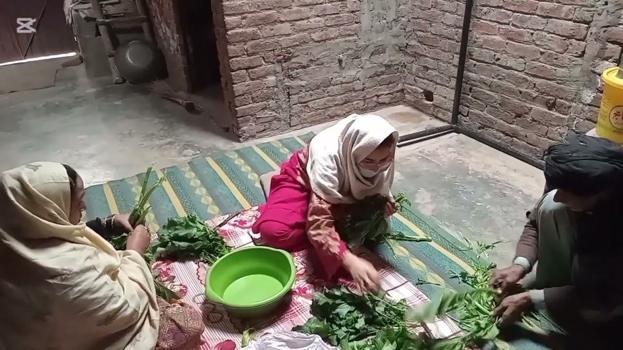 I went to my aunt house in village. ...