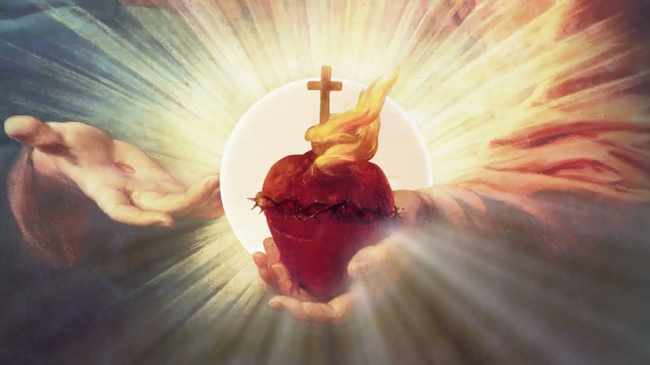 St. Carlo Mobile App Launch