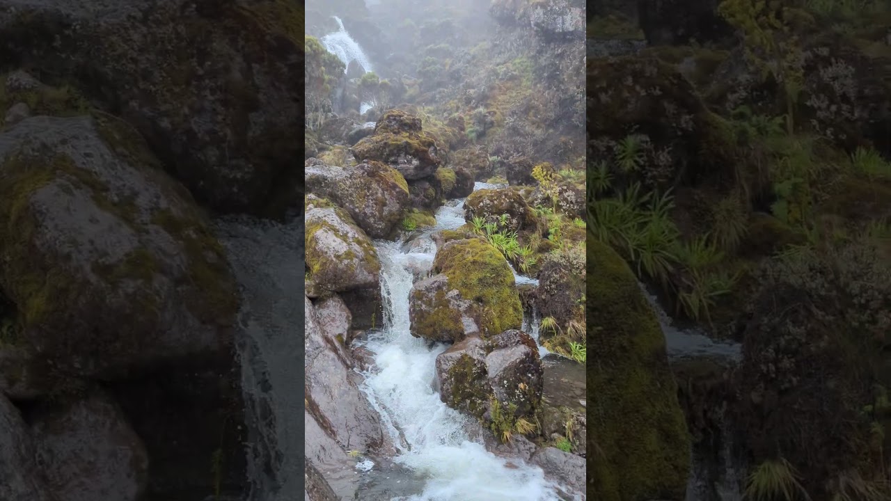 Bye Bye Cascaded Waterfalls | Shira Camp | Mount Kilimanjaro | The Roof of Africa | Day 2  #travel