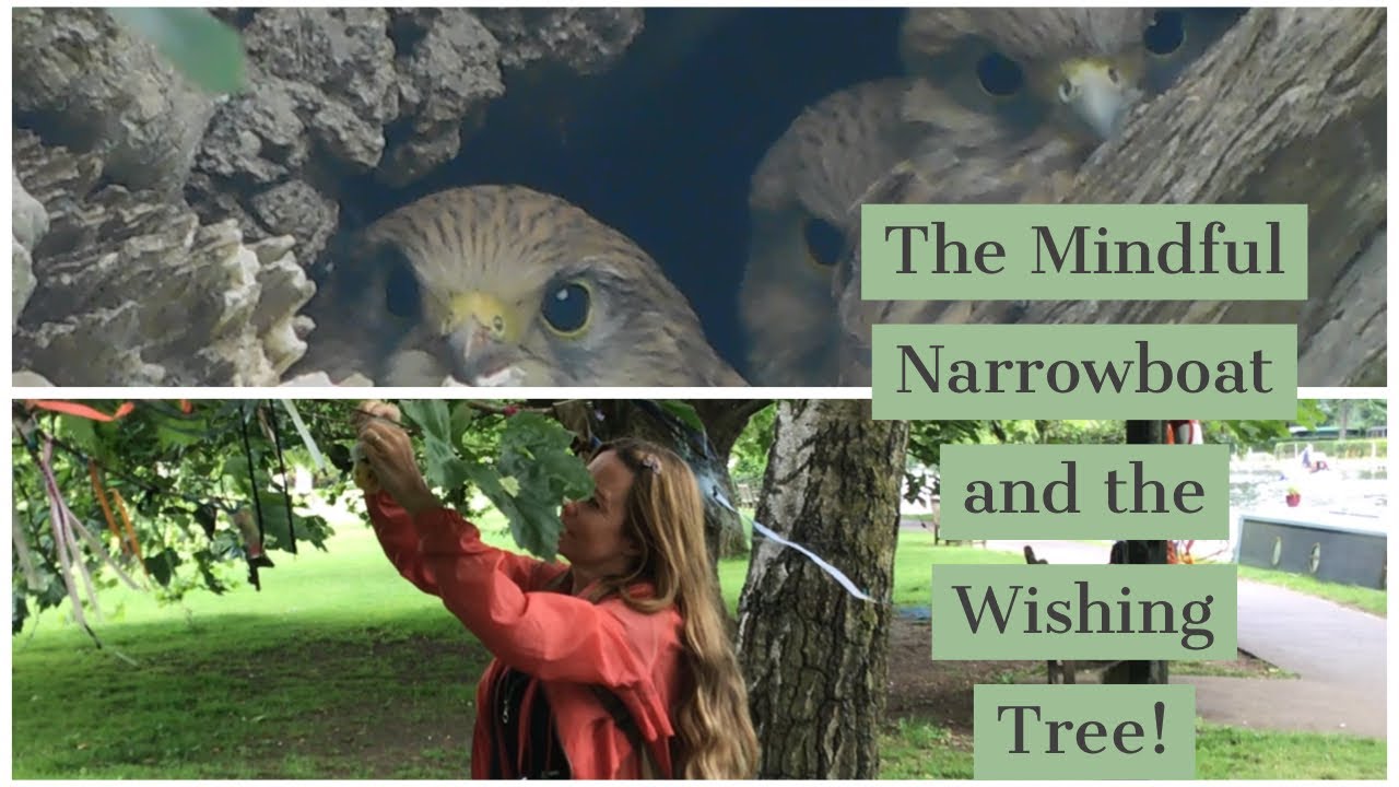 #11 The Mindful Narrowboat and the Wishing Tree!