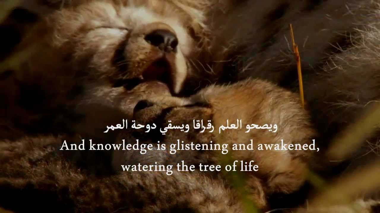 Farhat al amr (English subs) | Anas Dosari | #YOLT