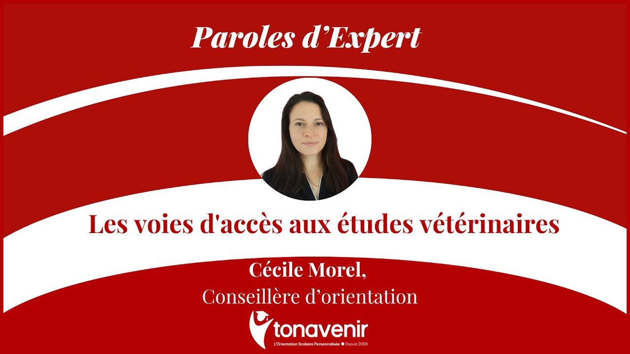 Les voies d'accès aux études vétérinaires avec Cécile Morel, Conseillère d'orientation Tonavenir