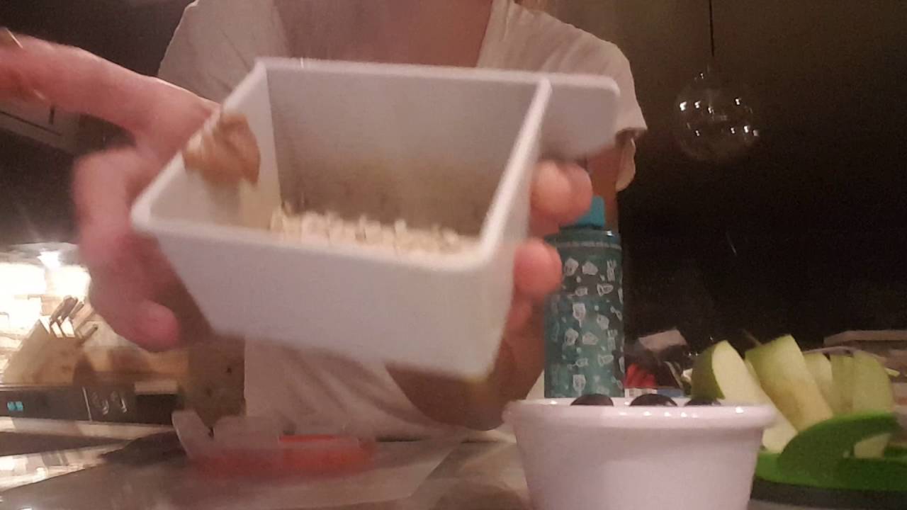 How to feed flying squirrels/ sugar gliders