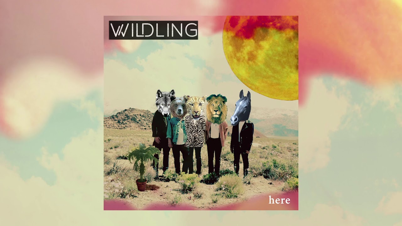 Wildling - Hummingbird [Official Audio]