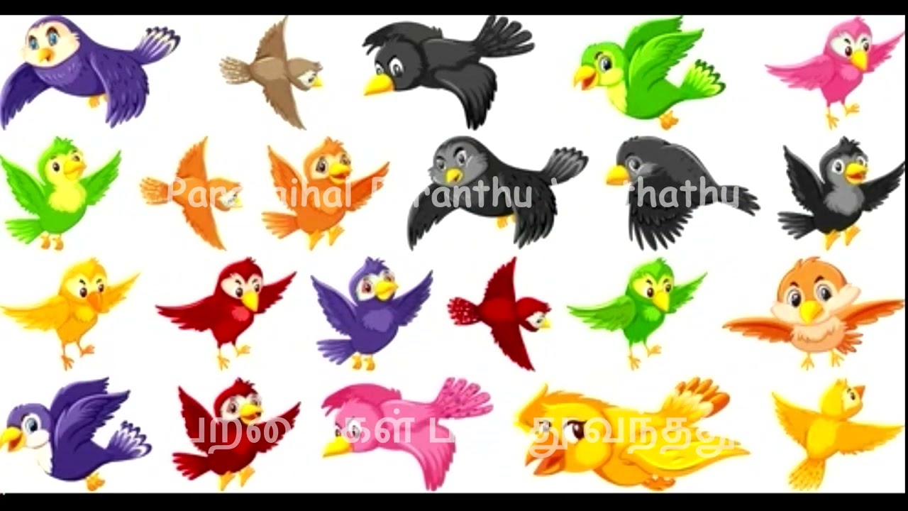 Noah Thatha | Tamil Christian Children Song