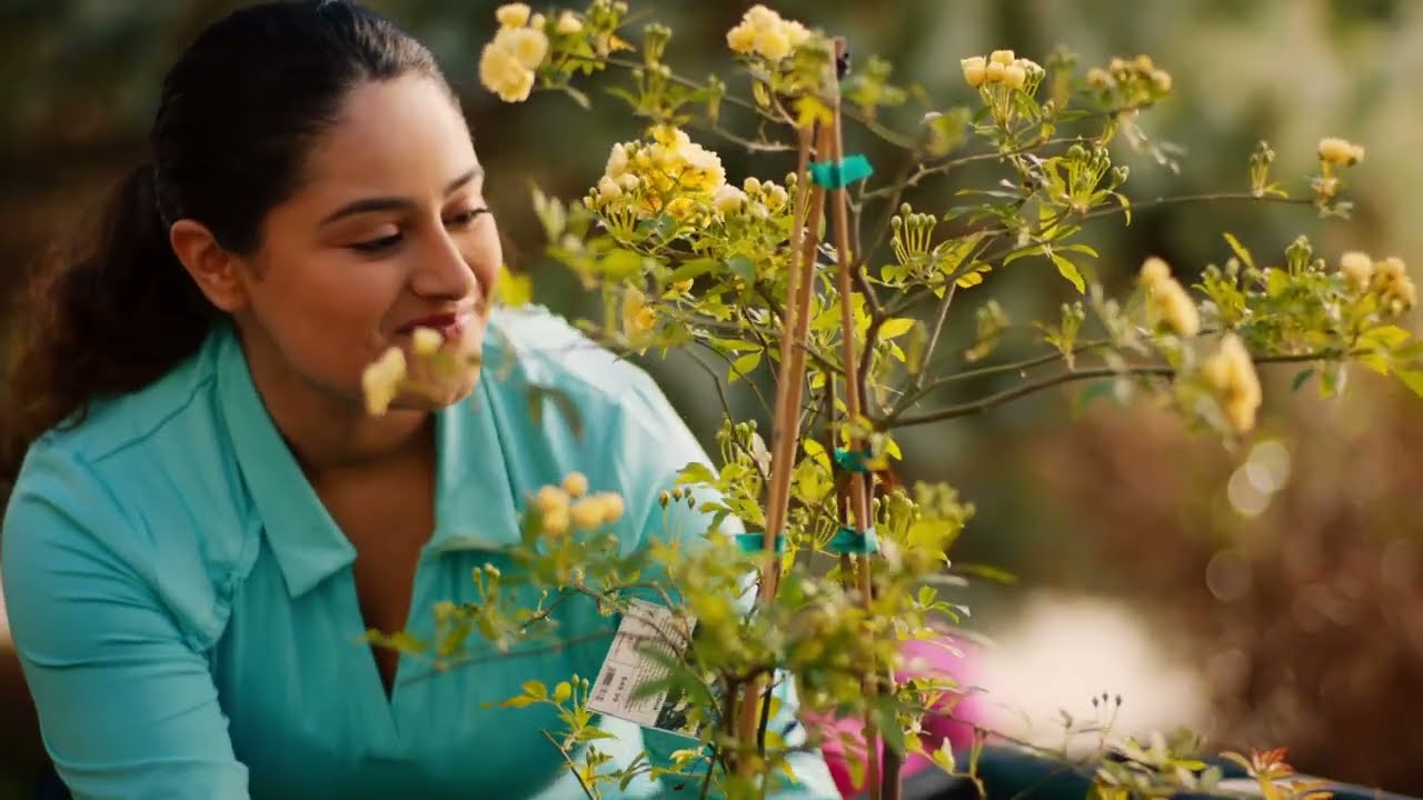 Call 811 Before You Start Any Digging Project