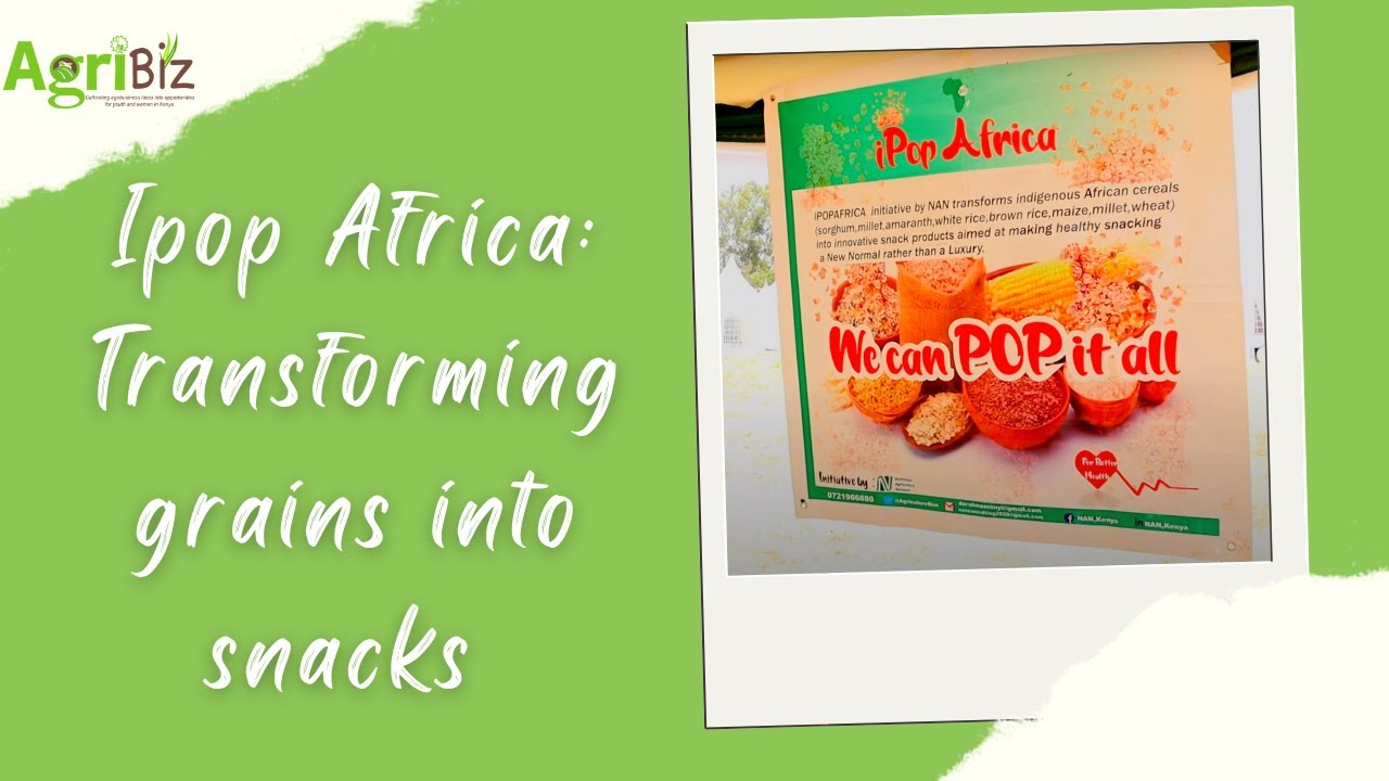 Ipop Africa: Reclaiming the Sovereignty of Indigenous Cereals by Transforming Grains into Snacks