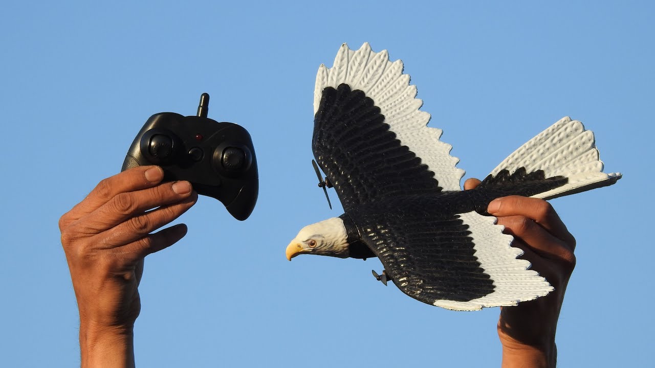 Распаковка/тестирование радиоуправляемого самолёта EAGLE