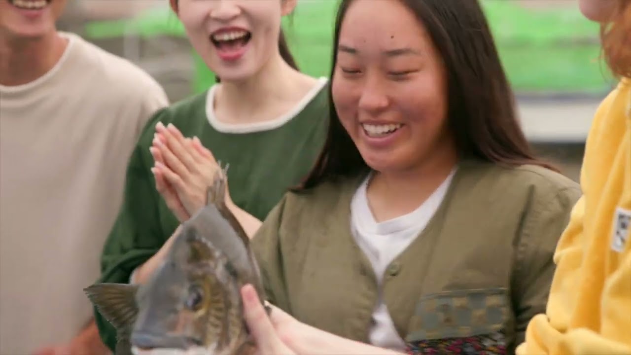 Why is Fujisawa so chill?