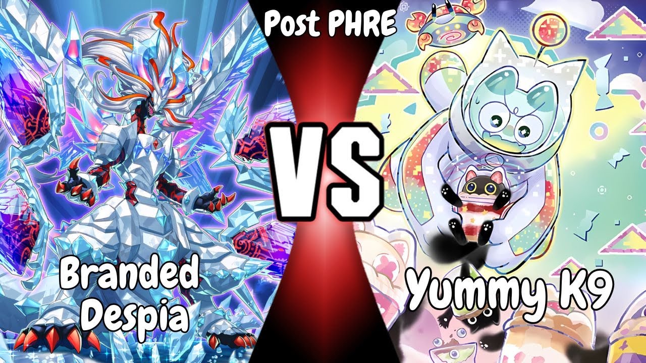Branded Despia vs Yummy K9 | Post PHRE