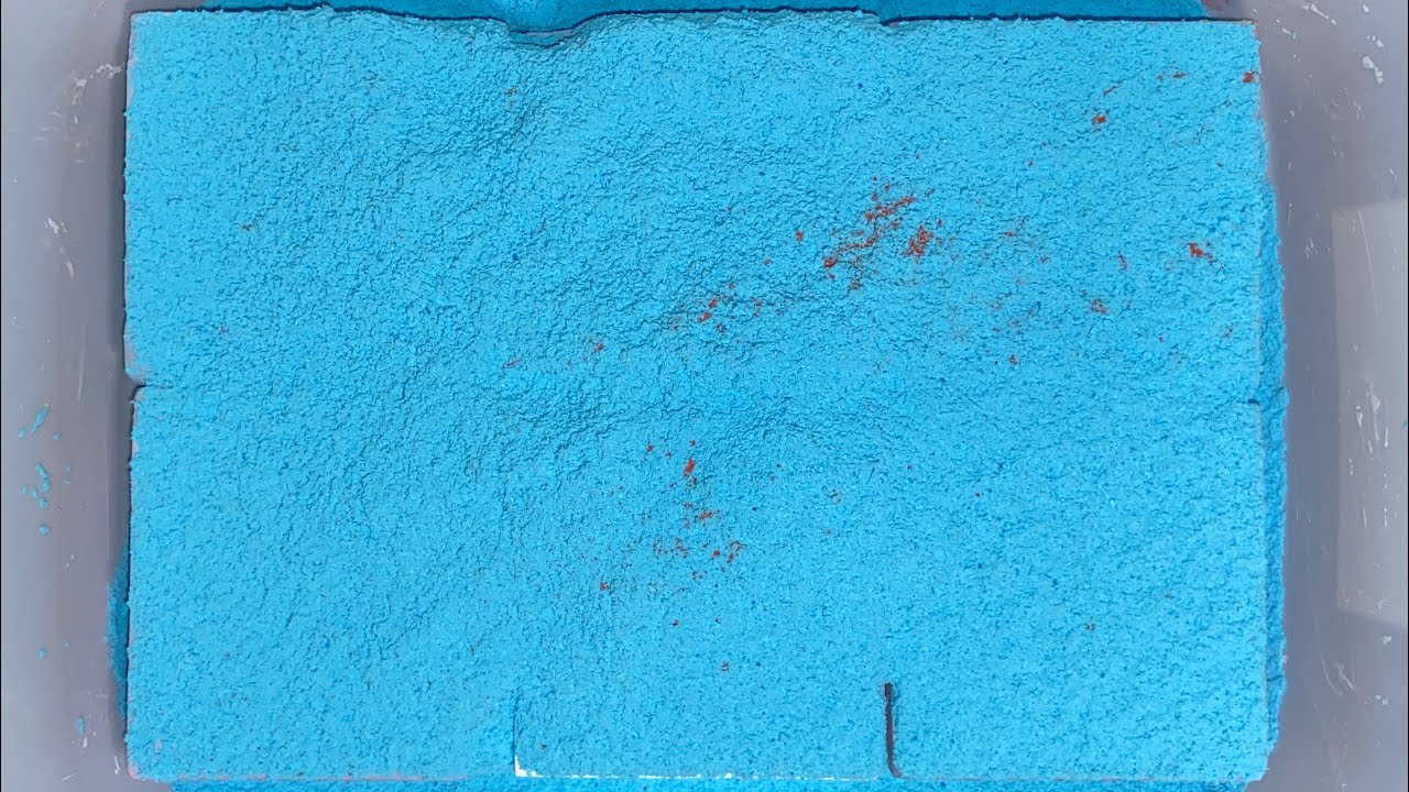 Pastel dyed MD topped with MD holi powder in deep sea
