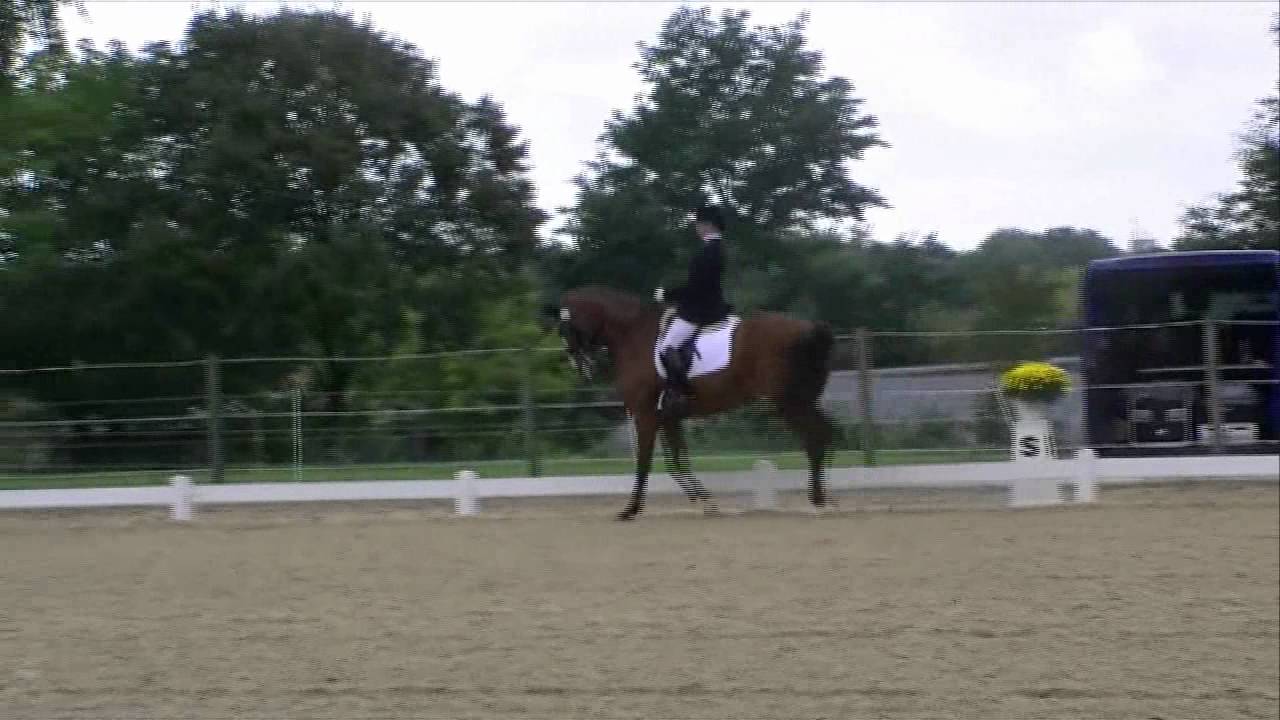 Delphine G G&uuml;nzburg 2012 M5