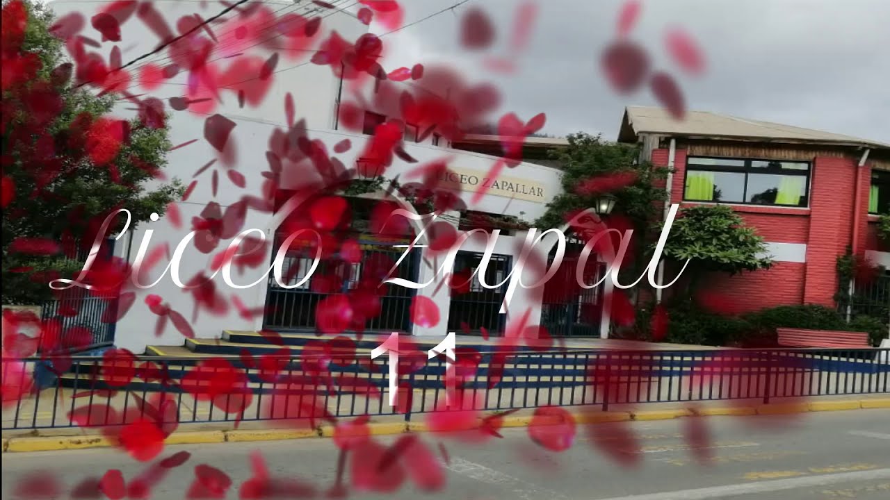 video himno Liceo Zapallar Aniversario 2020