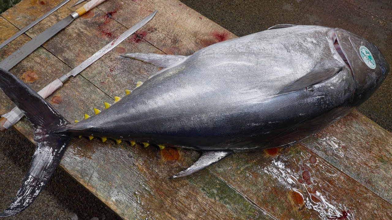 Amazing Skills! $10,000 Bluefin Tuna Meets Mastery of Fish Cutting at Tokyo's Fish Market!