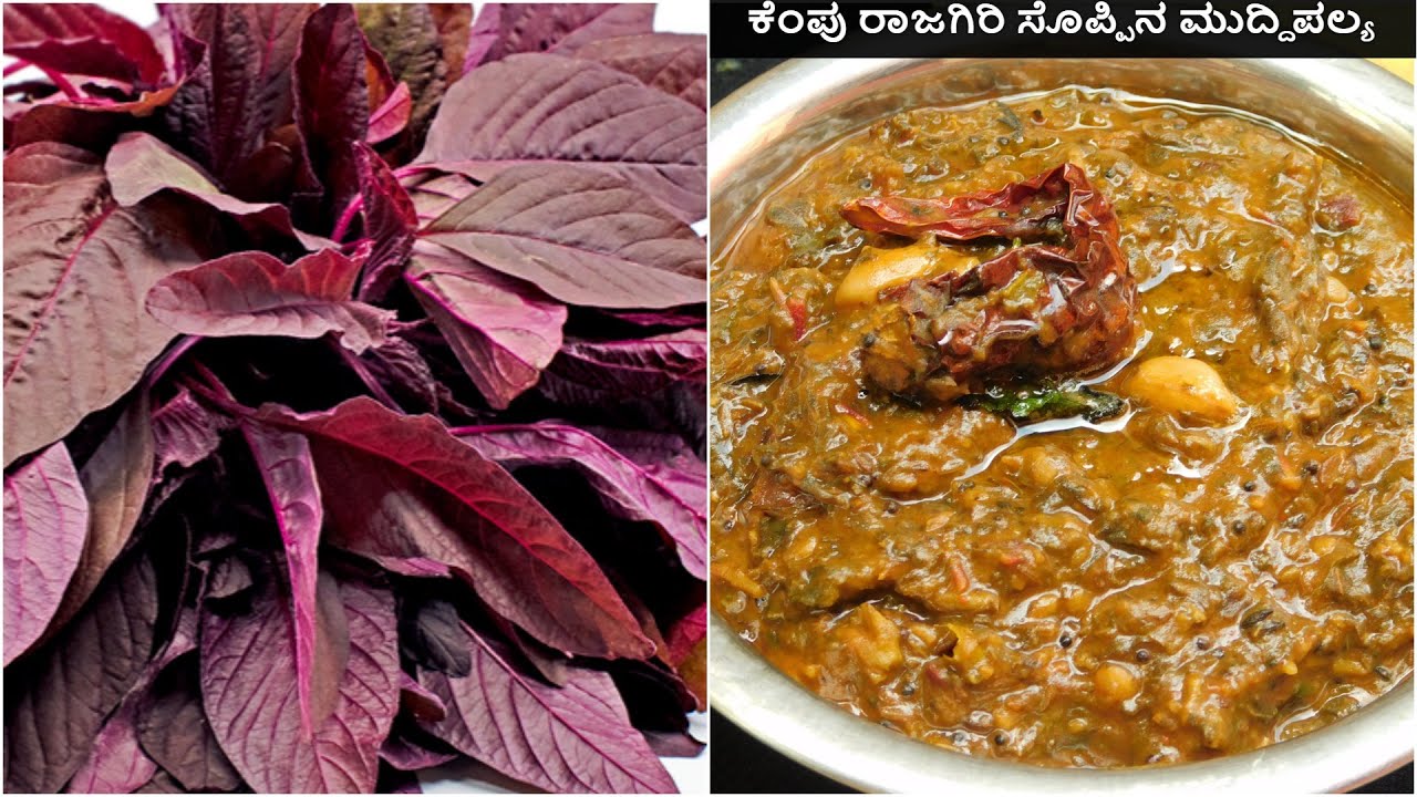 ಕೆಂಪು ರಾಜಗಿರಿ ಸೊಪ್ಪಿನ ಮುದ್ದಿಪಲ್ಯ|Red Amarnath leave Muddipalya|Dantu Soppina Palya|ದಂಟು ಸೊಪ್ಪಿನಪಲ್ಯ