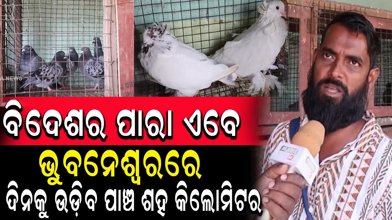ବିଦେଶର ପାରା ଏବେ ଭୁବନେଶ୍ୱର ରେ ଦିନକୁ ଉଡ଼ିବ ପାଞ୍ଚ ଶହ କିଲୋମିଟର 