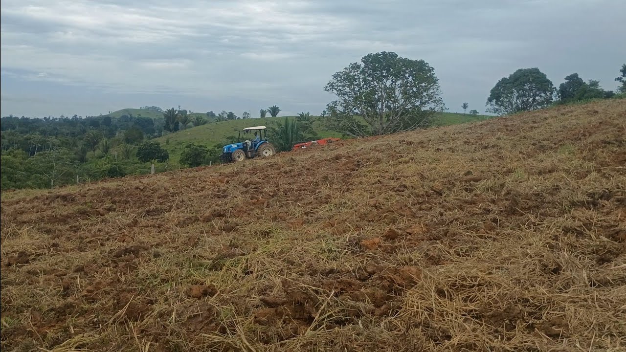 Quando é necessário refazer área de Capiaçu 