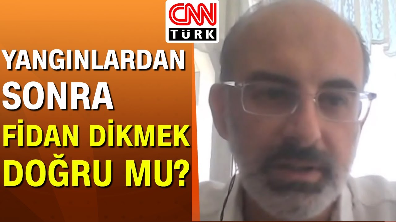 Yanan ormanlar ağaçlandırılmalı mı? Doğa kendini nasıl yeniliyor? Prof. Çağatay Tavşanoğlu açıkladı