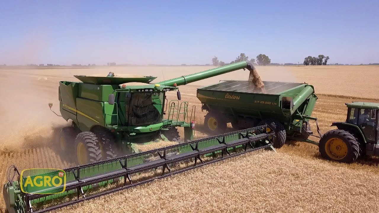 POPIQUEN: Claves y manejos para lograr 8.500 kilos de trigo con tecnología (#908 2020-12-26)