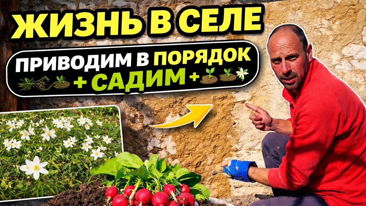 Переселенцы. Новая жизнь в селе. Ремонт и огородничество