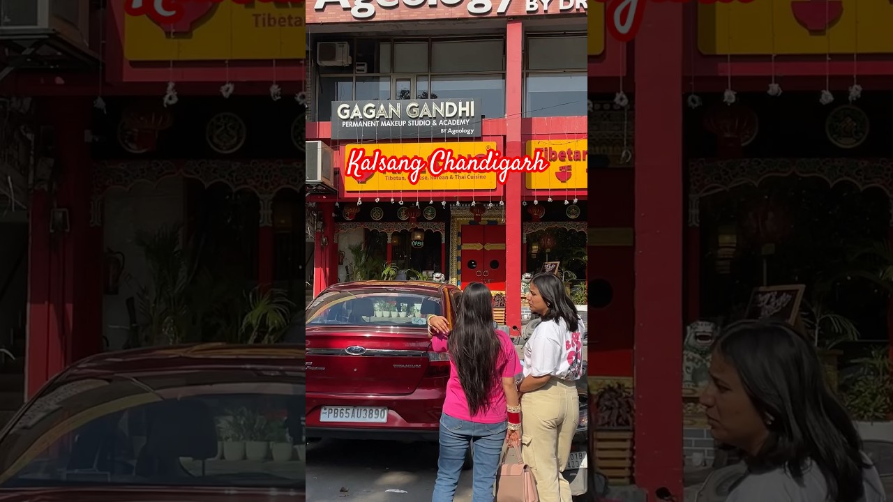 Kalsang best Korean restaurant in Chandigarh #shorts #trending #shortvideo #travel #vlog #chandigarh
