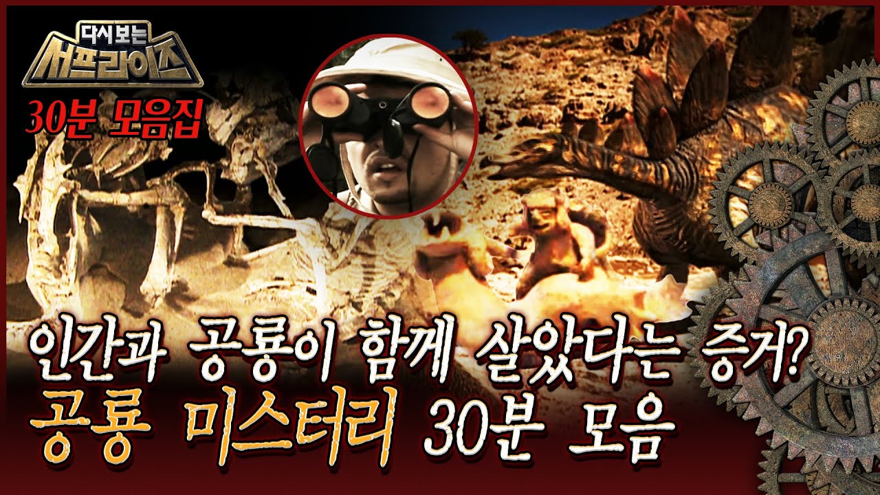 [다시보는서프] 고고학계를 충격에 빠뜨린 고대의 유물? 공룡 미스터리 30분 모음 #서프라이즈 MBC091122방송