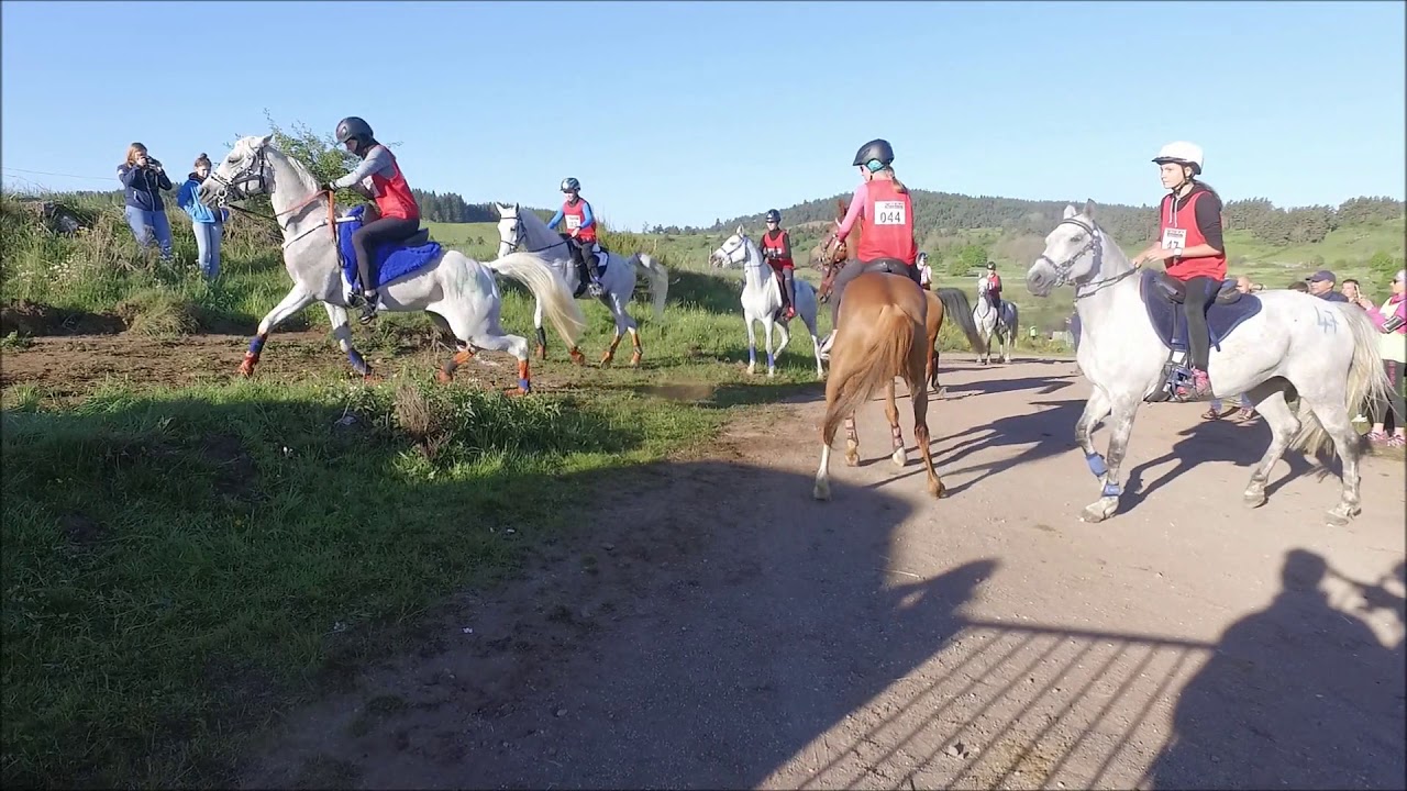 Course d'endurance équestre Costaros 