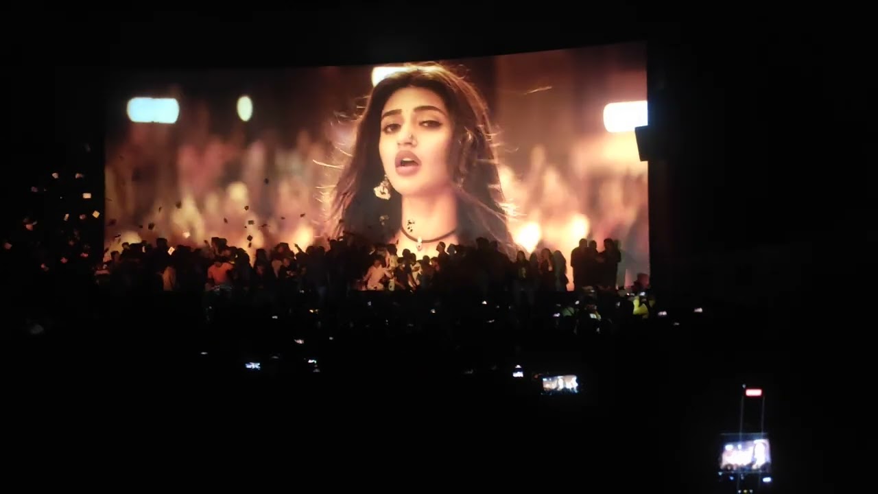 Guntur Karam celebration in Bangalore in Sri Vinayak Theatre