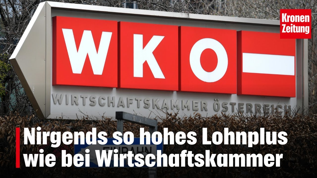 Vergleich zeigt: Niemand g&ouml;nnt sich h&ouml;heres Lohnplus als Kammern | krone.tv NEWS