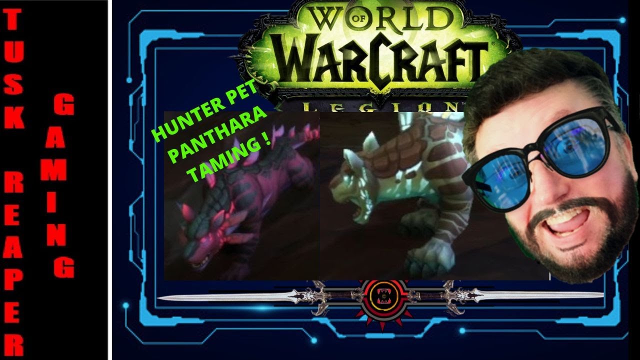 WOW Legion Hunter Pet Type Panthara Taming