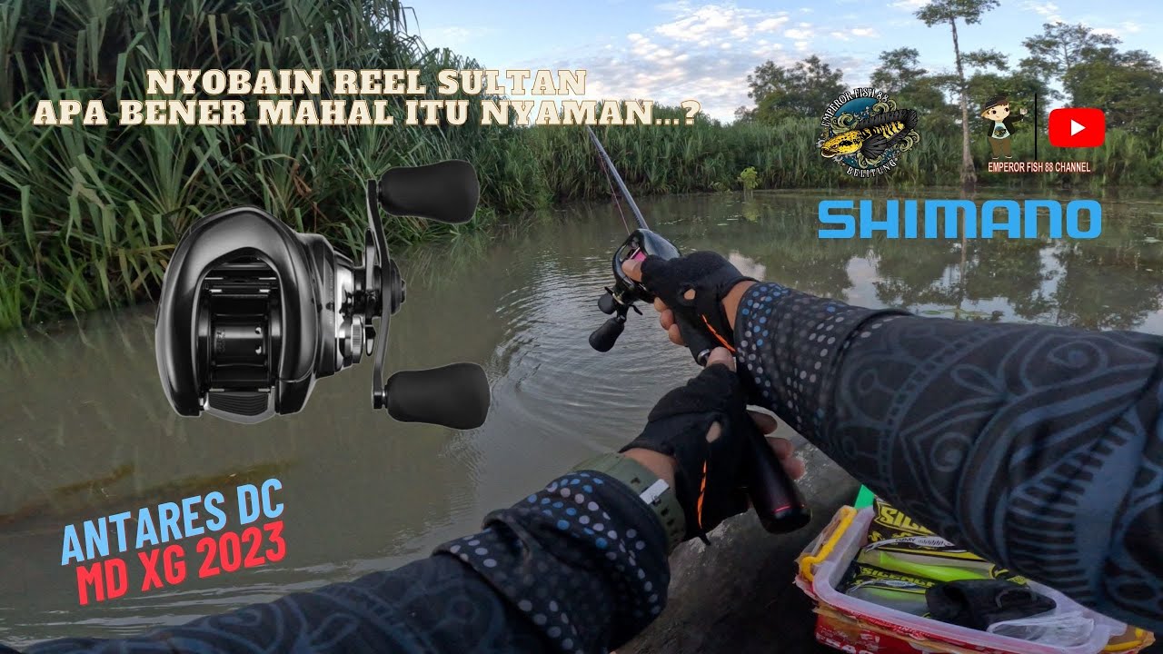 ZUIIINGGG REEL SULTAN | FIELD TEST SHIMANO ANTARES DC MDXG 2023