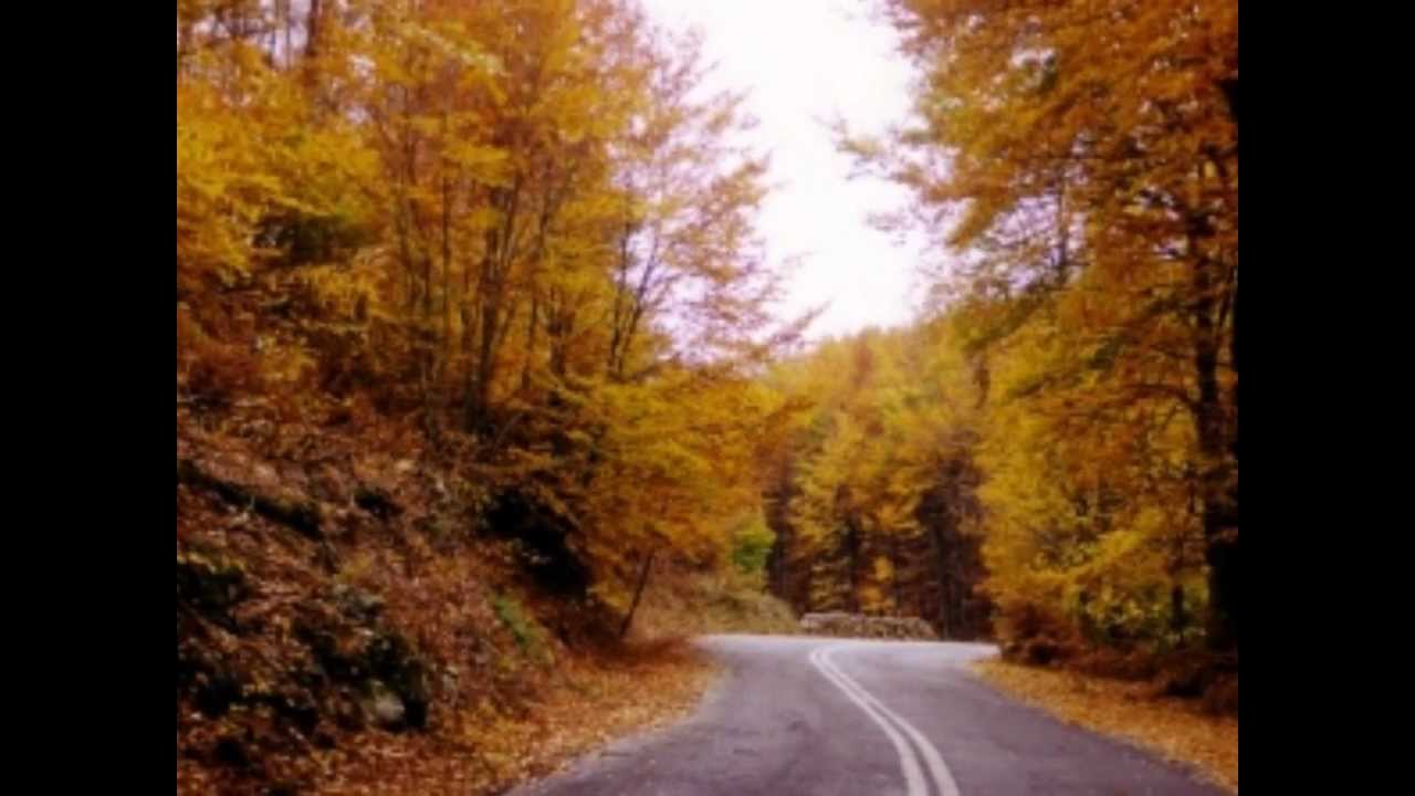 ΜΟΥ ΓΕΛΑΣΕΝ Η ΧΑΡΑΥΓΗ (Βωβούσα) - Ηπειρώτικα τραγούδια