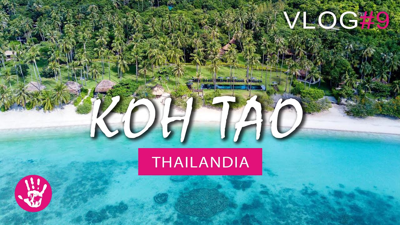 Koh Tao - Haad Tien Beach Resort - Thailandia Vlog #9