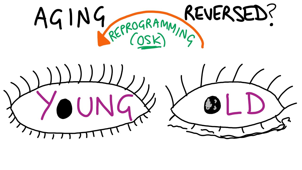 Reversing aging through cellular reprogramming!? (latest study explained)