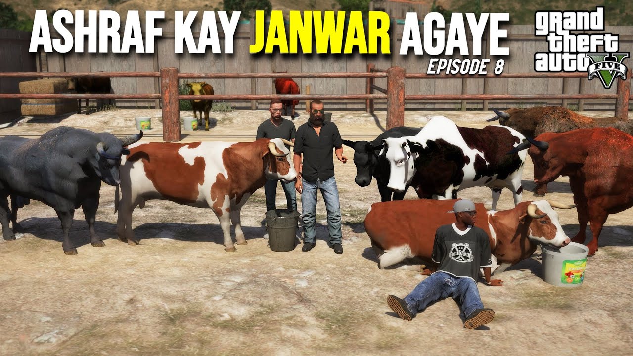 ASHRAF BHAI K JANWAR AGAYE! | BAKRA EID 2023 EPISODE 8 | GTA 5 STORIES