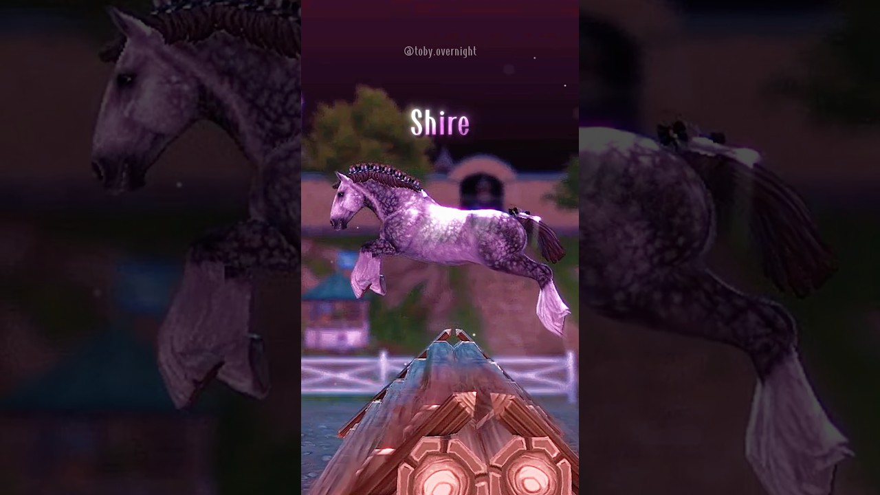 sso best draft horse ‼️ #sso #starstable #starstableonline