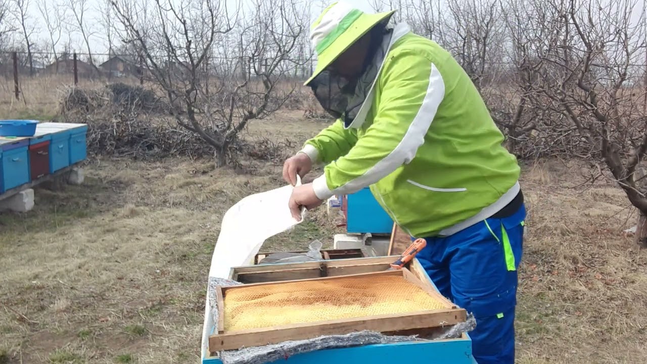 ÎMPREUNĂ, ASIGURĂM FAMILIILOR DE ALBINE, SIROP, PROTEINĂ ȘI TRATAMENTE PARTEA A 7 --- A