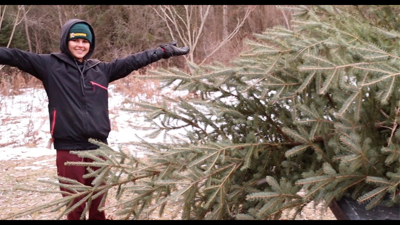 meMIner Christmas