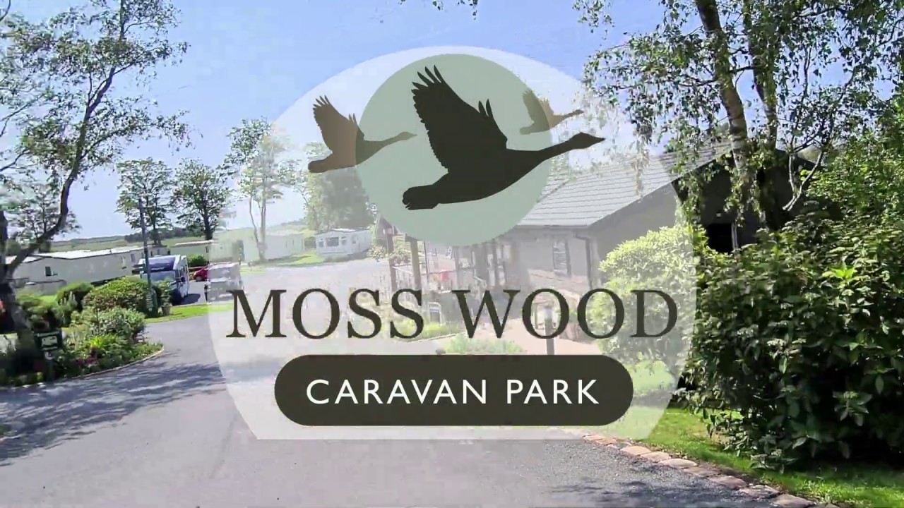 Moss Wood Caravan Park - Quick Tour