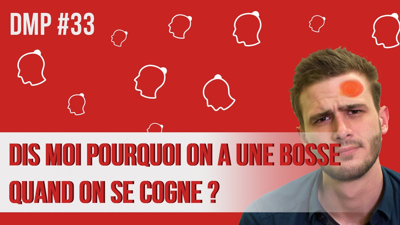 Dis moi pourquoi on a une bosse quand on se cogne ? DMP #32