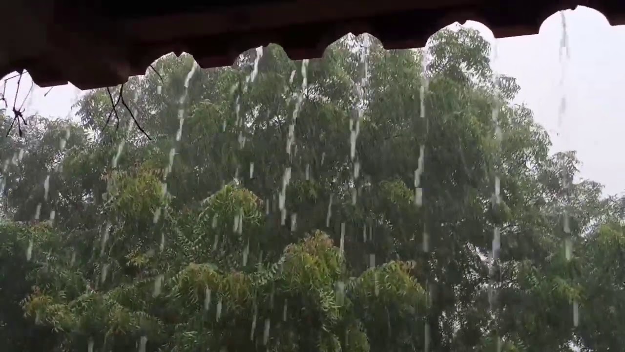 WhatsApp status 2021 || rain status || barish status video