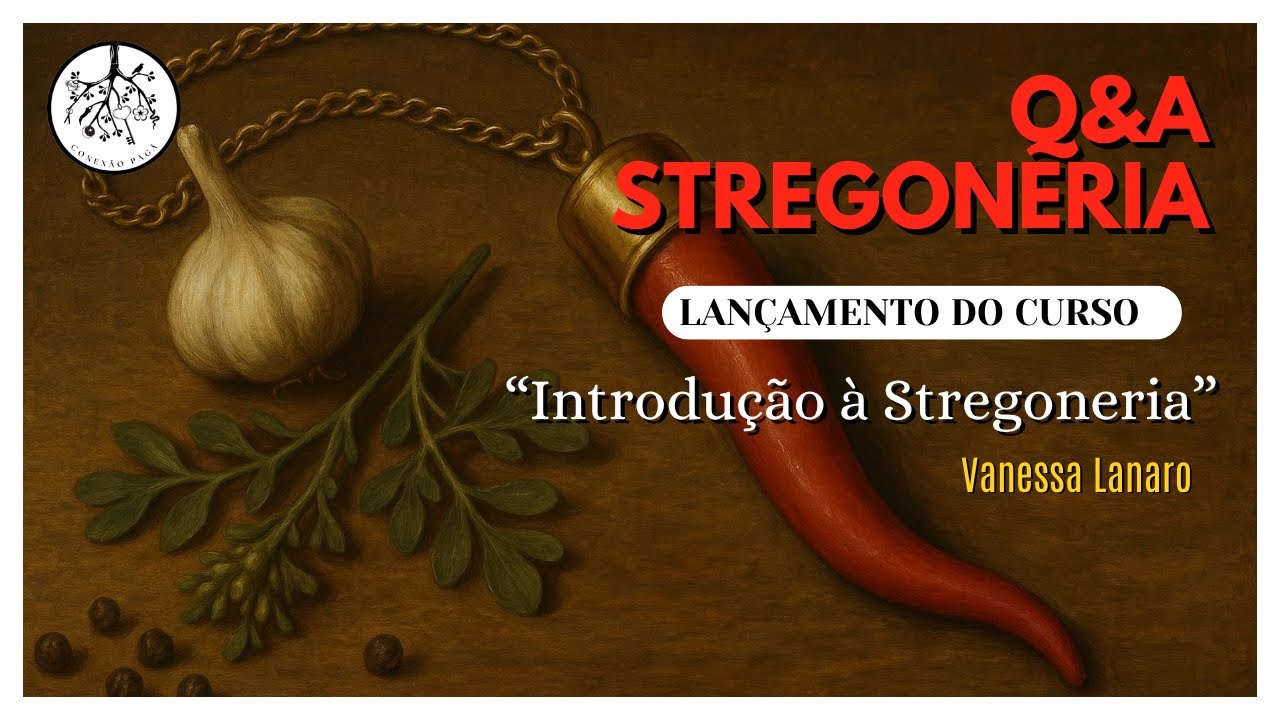 Q&A Stregoneria