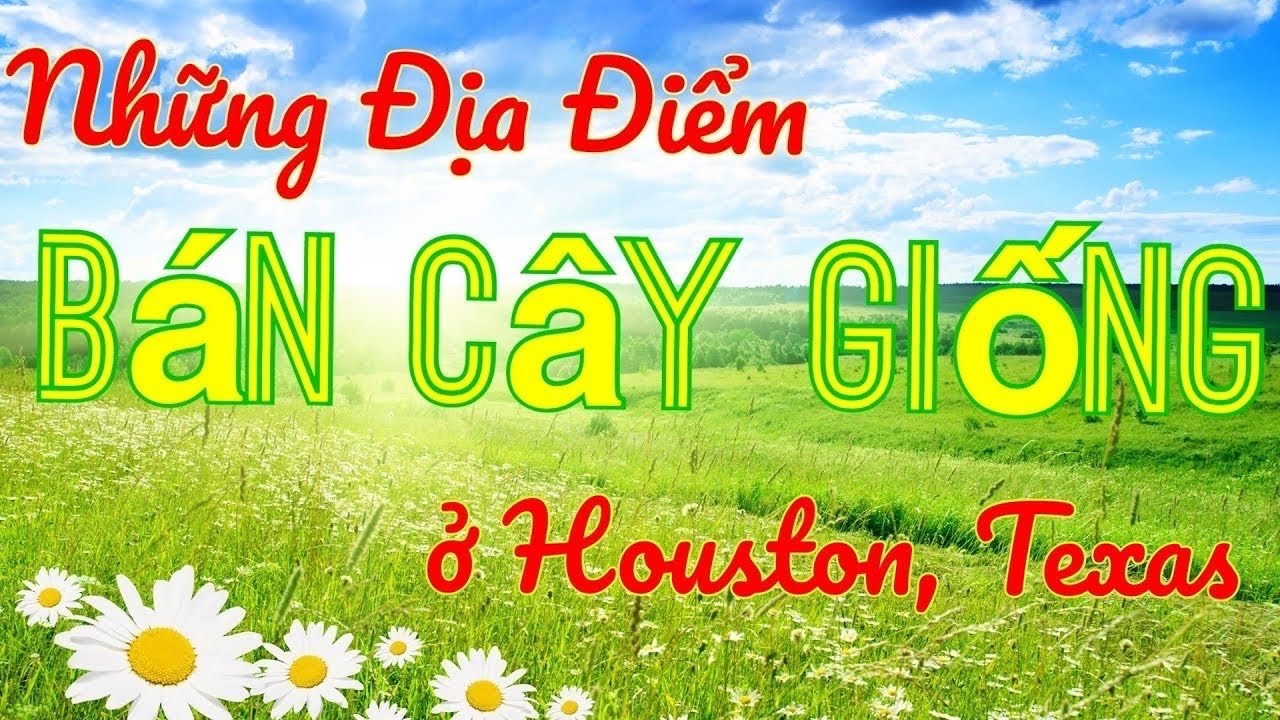 Những (7) Địa Điểm Bán Cây Giống ở Houston, Texas. The Best Nurseries in Houston, Texas.