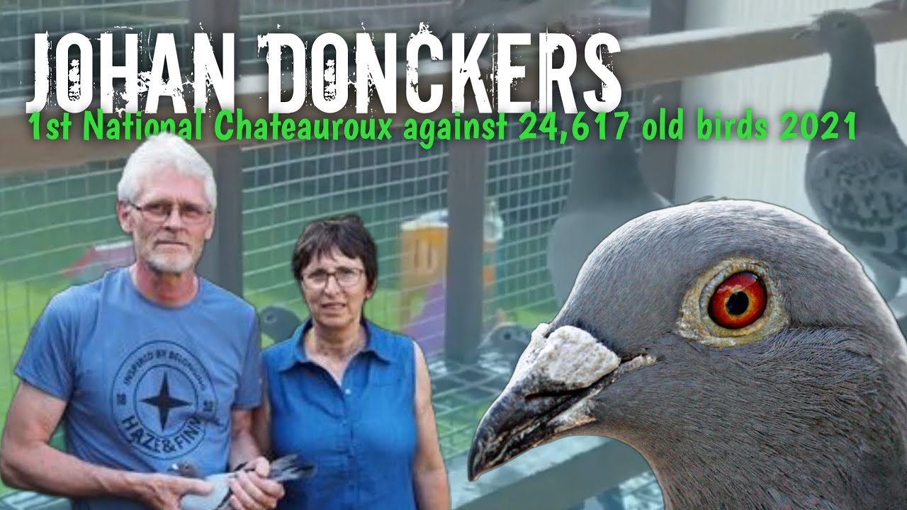 The Dream Maker from Grobbendonk - JOHAN DONCKERS - 1st National Chateauroux