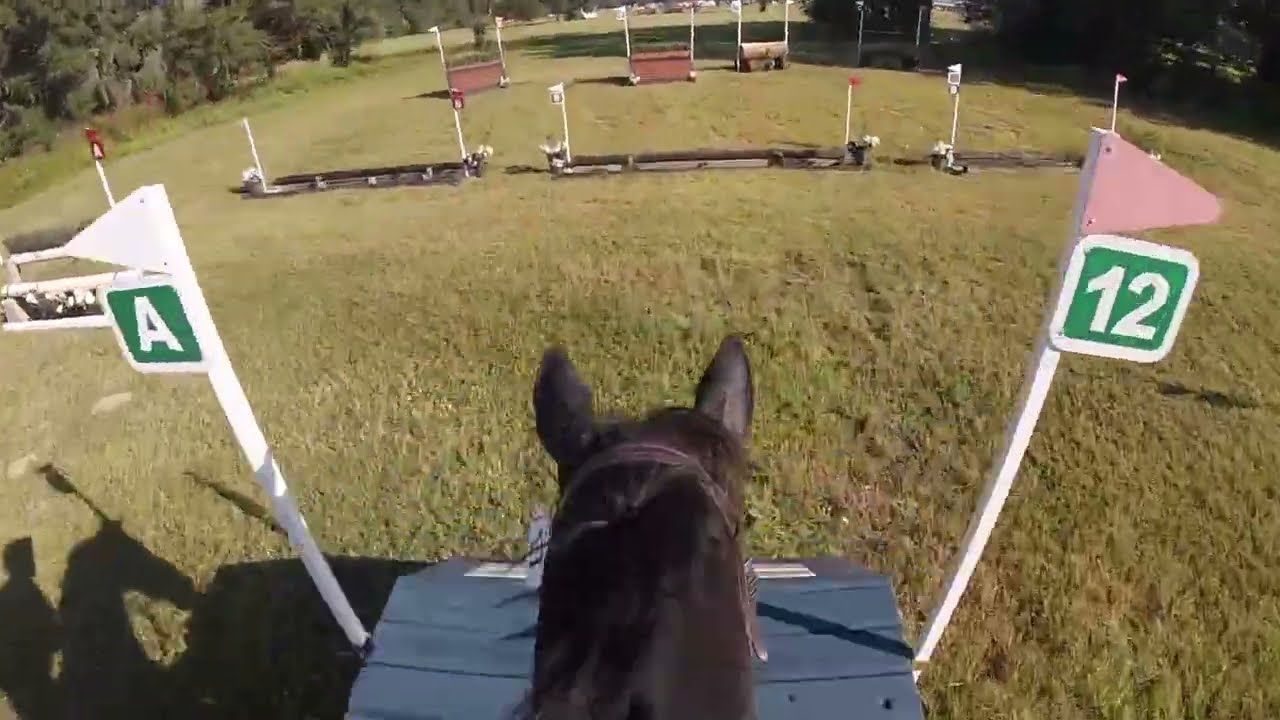 GoPro: Let It Be Lee (Preliminary/Intermediate | 2022 Ocala Fall Horse Trials)