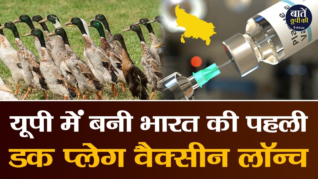 जानिए UP में बनी Duck Plague Vaccine क्या है ? First Made In India Duck Plague Vaccine Launched