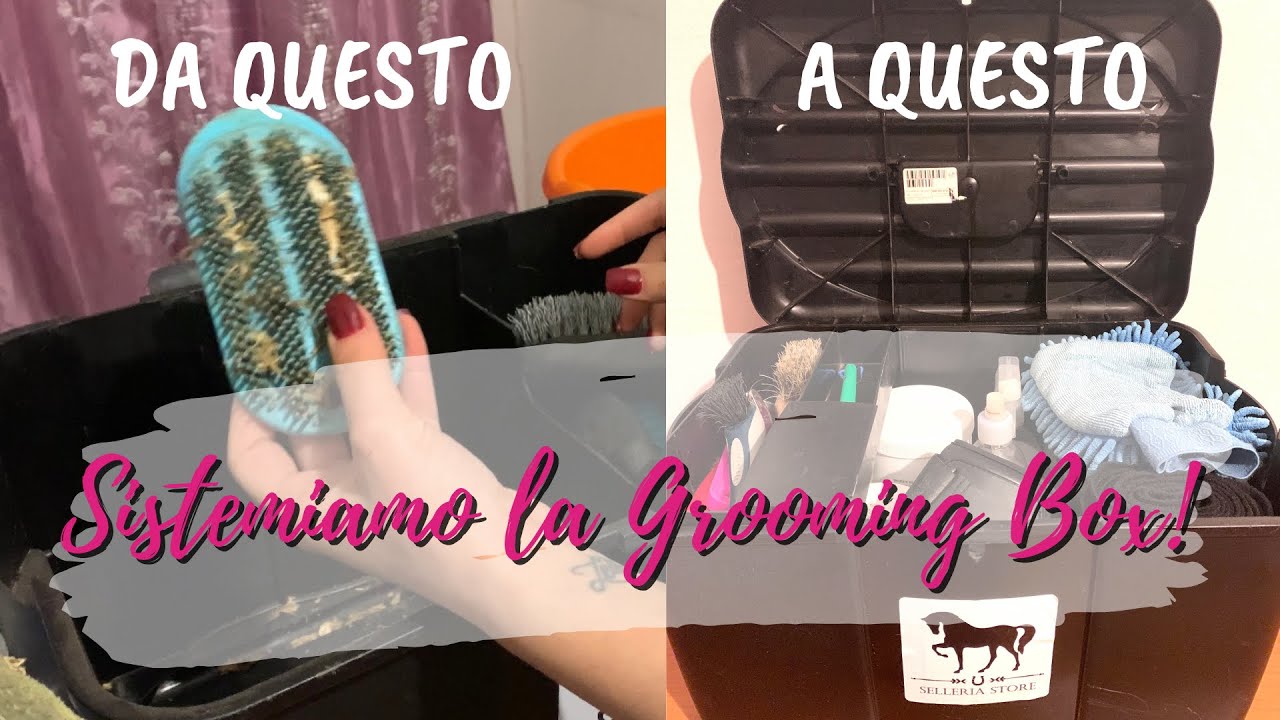 Riorganizziamo la Grooming Box! Sta esplodendo 😂 | 🐴HORSE PLANET
