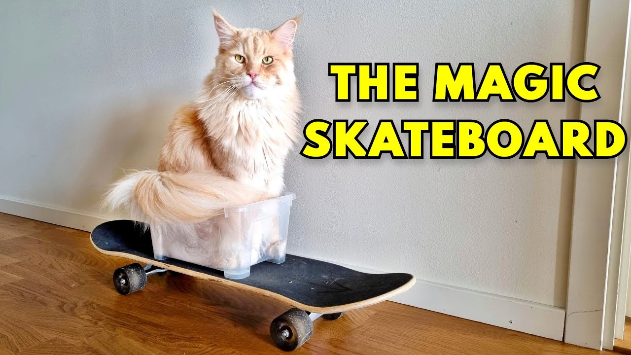 Buster and the Magic Skateboard!